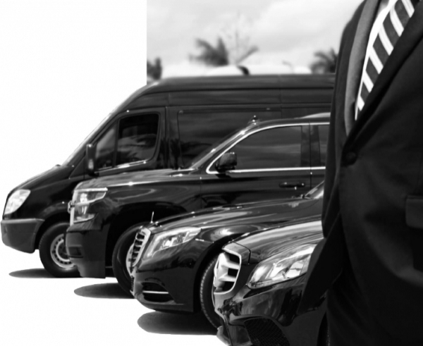 HEYET KARŞILAMA VE ORGANİZASYON, Heyetleri uçaktan indikleri andan başlayarak karşılayan ve onlara tüm süreçte refakat eden bu hizmetimiz de yine profesyonel ekiplerimiz tarafından yürütülüyor.