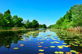SAKARYA ACARLAR LONGOZU TURU