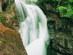 DÜZCE ŞELALELER EFTENİ GÖLÜ TURU