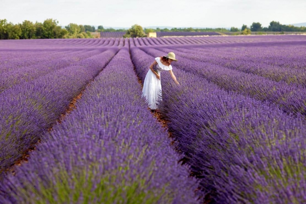 ISPARTA LAVANTA BAHÇELERİ - SALDA GÖLÜ - DENİZLİ TURU