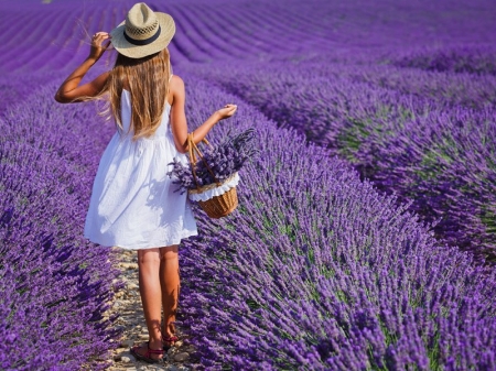 ISPARTA LAVANTA BAHÇELERİ - SALDA GÖLÜ - DENİZLİ TURU, Haziran 2020